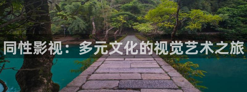 四虎好看影院：同性影视：多元文化的视觉艺术之旅