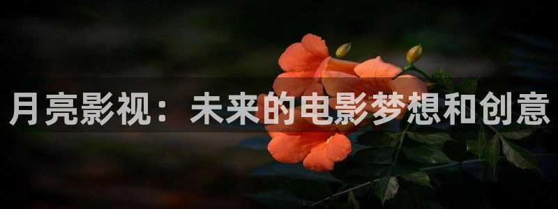好看影院：月亮影视：未来的电影梦想和创意