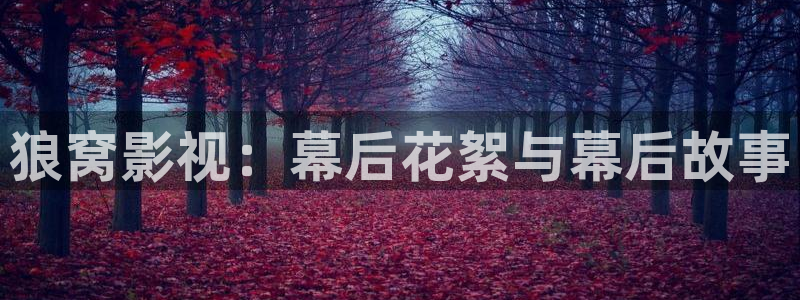好好看影院：狼窝影视：幕后花絮与幕后故事