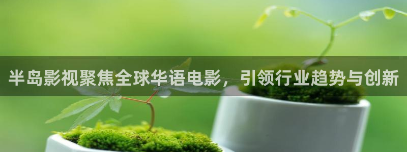 四虎好看影院：半岛影视聚焦全球华语电影，引领行业趋势与创新