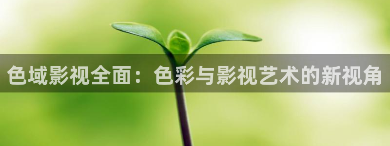 四虎好看影院：色域影视全面：色彩与影视艺术的新视角