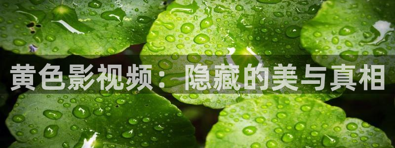 好看影院大全：黄色影视频：隐藏的美与真相