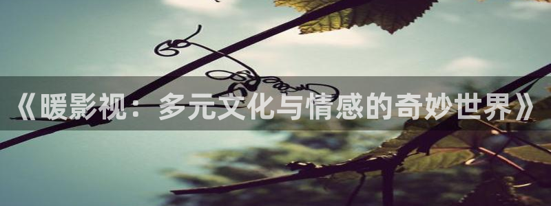 好看影院在线观看电影：《暖影视：多元文化与情感的奇妙世界》